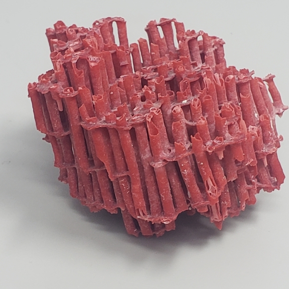 Natural Red Coral Reef - Picture 3 of 8